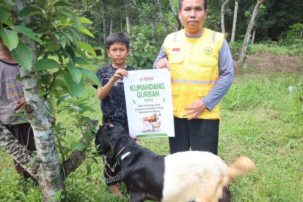 apa itu qurban anak