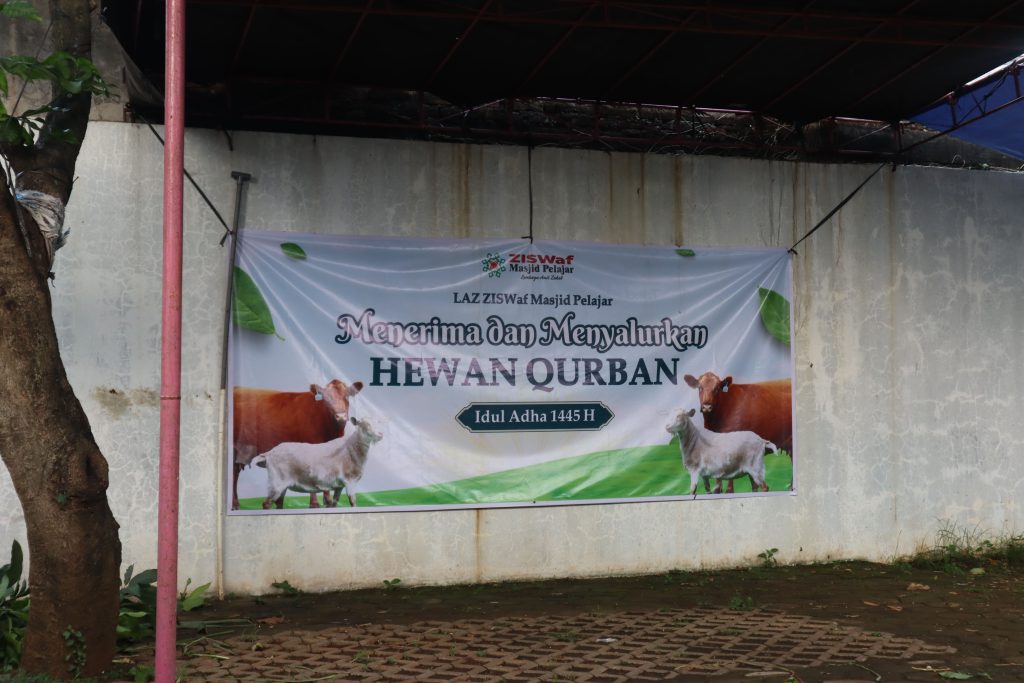 apa itu qurban unta