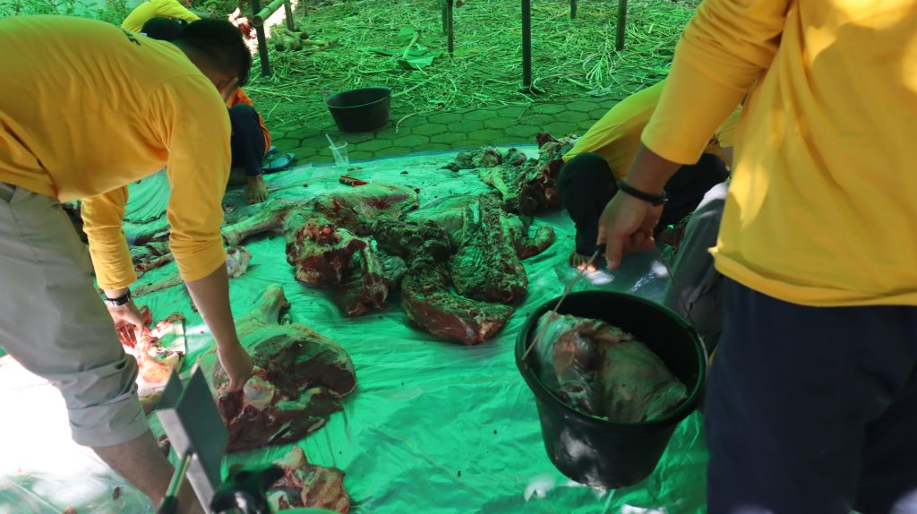 apa itu qurban sedekah