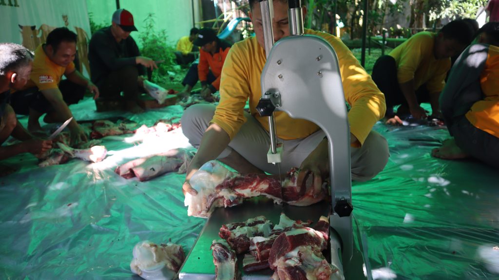 apa itu qurban murah